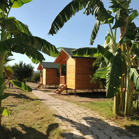 Отель Elamir